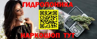 винт Тара