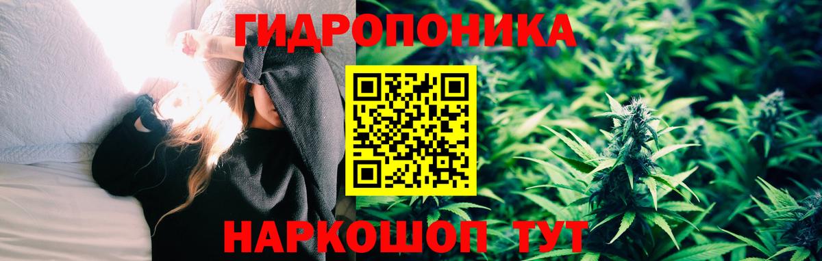Канабис конопля  Марихуана сатива  Марихуана Bruce Banner  Вход с VPN  Бошки Шишки планчик  Асино 
